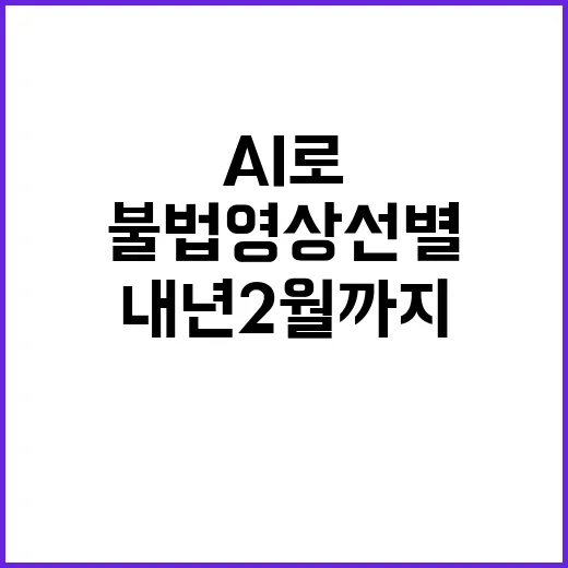 AI로 불법 영상 선별 내년 2월까지 결과 공개!