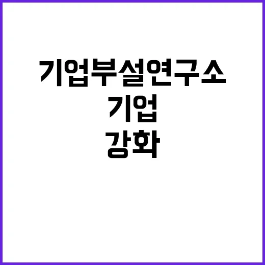 “기업부설연구소 인정제도 위반 사항 관리 강화!”