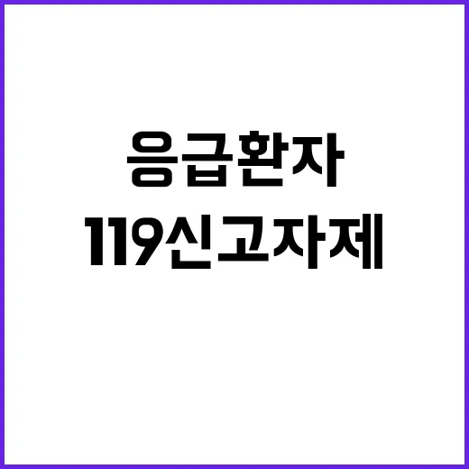 응급환자 골든타임 확보 단순 치통 119 신고 자제!