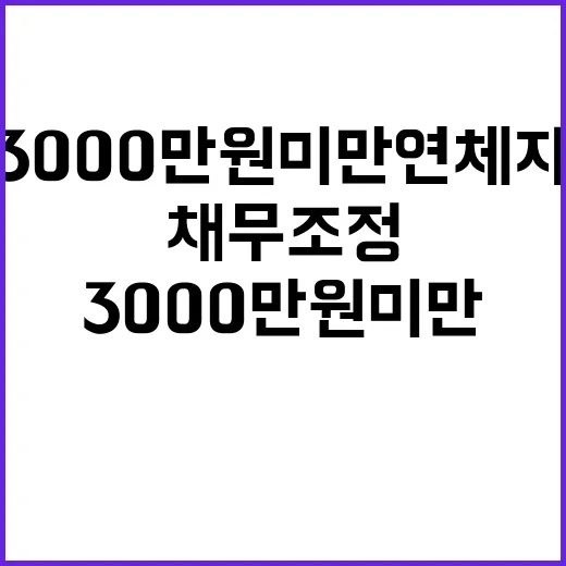 채무조정 3000만 원 미만 연체자 새 기회!