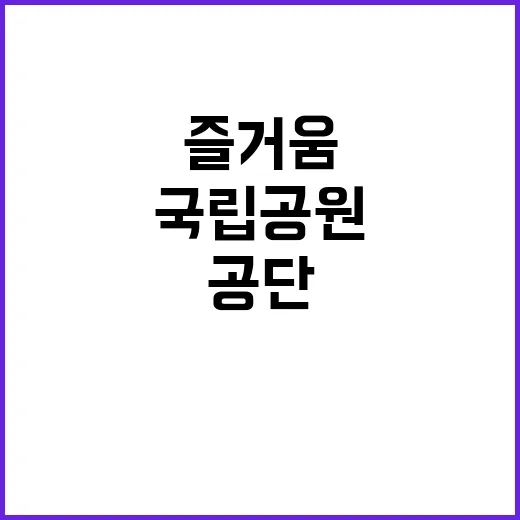 국립공원공단 비정규…