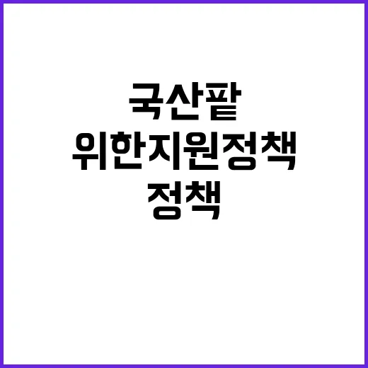 국산 팥 생산 확대 위한 지원 정책 공개!