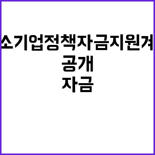 중소기업 정책자금 …