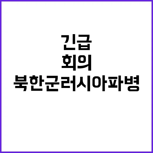 한미 국방장관 북한군 러시아 파병 긴급 회의!