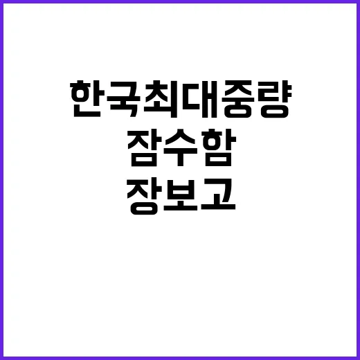 장보고Ⅲ 한국 최대…