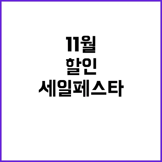 세일페스타 11월 최고의 할인 행사 기다린다!