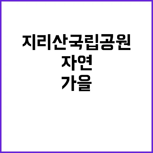 국립공원공단 비정규…