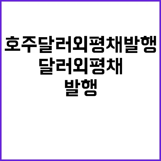 호주 달러 외평채 발행 시작! 투자자들 주목!