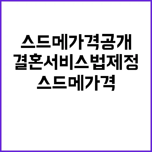 결혼서비스법 제정 …