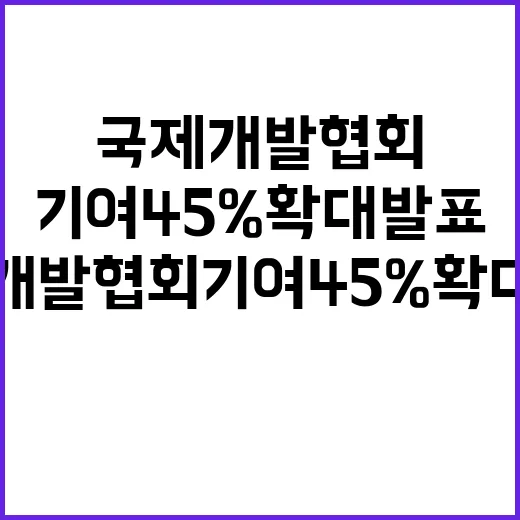 윤 대통령 국제개발…