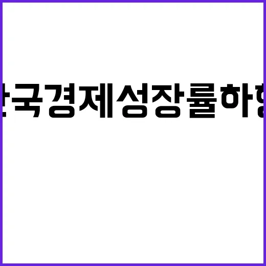 IMF 한국 경제 …