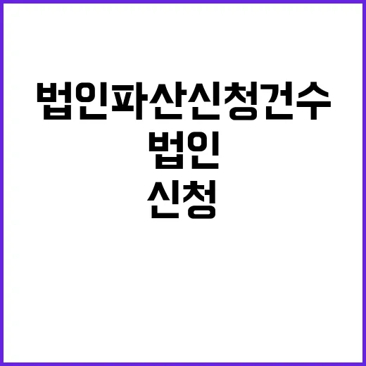 법인 파산 신청 건수 급감 이유는 무엇?