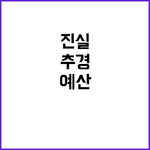 추경예산 기재부의 숨겨진 진실은 무엇일까?