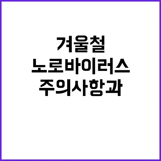 노로바이러스 겨울철 주의사항과 안전한 조리법!