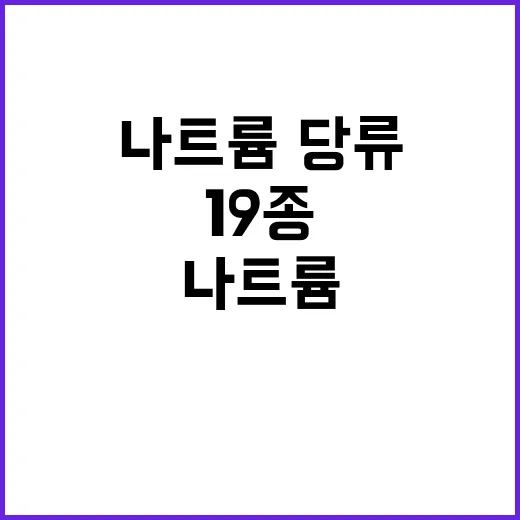 카스텔라 나트륨·당류 줄인 혁신 음식 19종 공개!