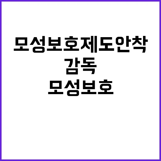 고용부 모성보호 제도 안착 위한 감독 시작!