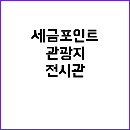 세금포인트 할인 관…