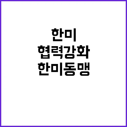 한미동맹 외교부 협…