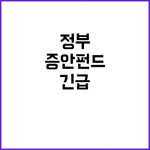 증안펀드 정부의 긴급 시정안정조치 소식 공개!