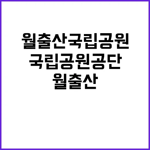 국립공원공단 비정규…