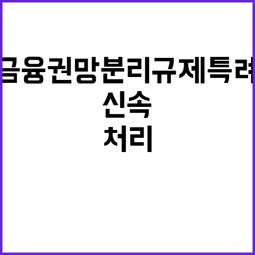 금융위 금융권 망분리 규제 특례 신속 처리 계획!