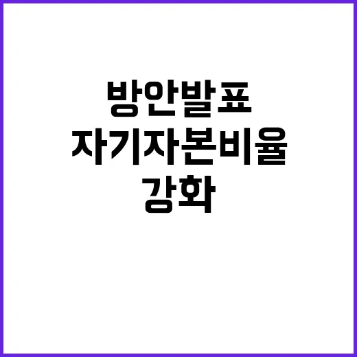 금융위 자기자본 비율 강화 방안 발표 예정!