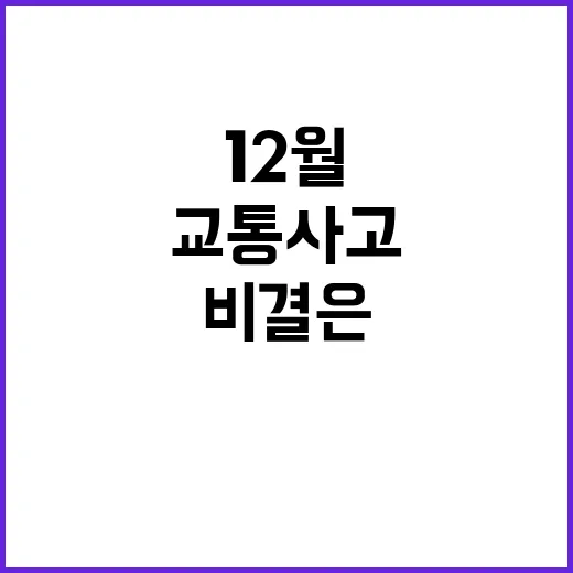 교통사고 절반 12월 예방 비결은 이거!