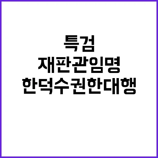 특검·재판관 임명 한덕수 권한대행의 긴급 요청!