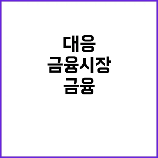 금융시장 엄중 경고 쏠림현상 강력 대응 선언!