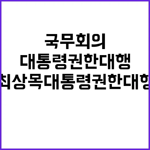 국무회의 최상목 대통령 권한대행의 발언이 주목!