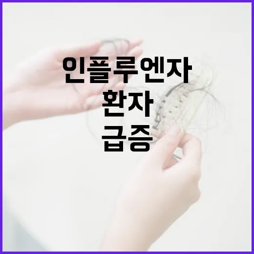 인플루엔자 급증 의사환자 수 역대 최고 기록!