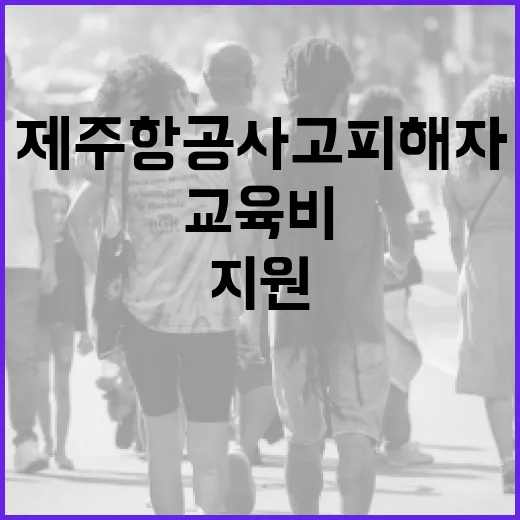 제주항공 사고 피해…