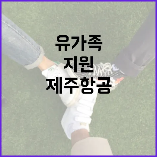 제주항공 희생자 장…