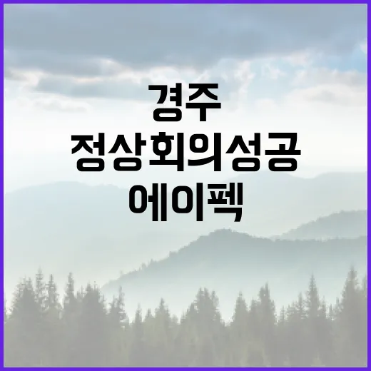 문화행사 경주 에이펙 정상회의 성공 위한 지원!