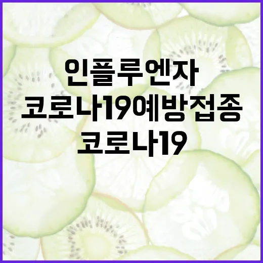 119구조견 지난해 27명 구한 영웅 이야기!