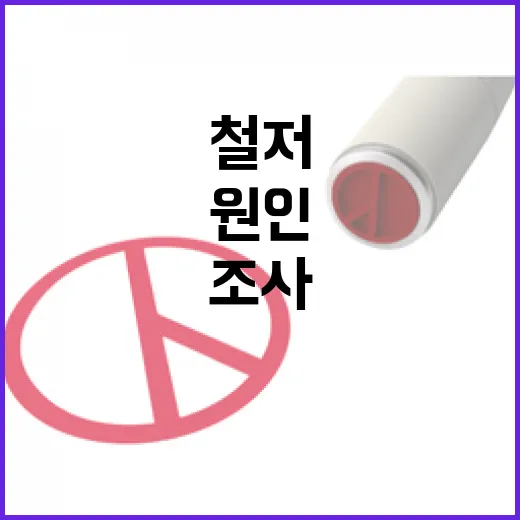 항공안전 혁신 사고 원인 철저 조사 필수!