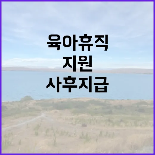 “고용부 육아휴직 …