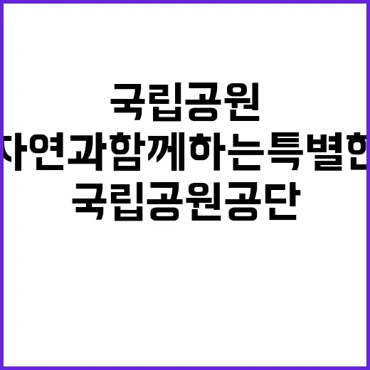 국립공원공단 비정규…