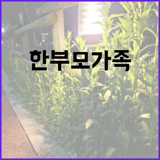 한부모가족 지원 아…