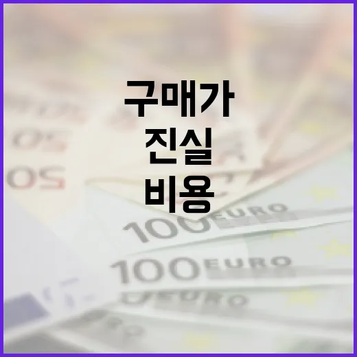 비용 조사의 진실 …