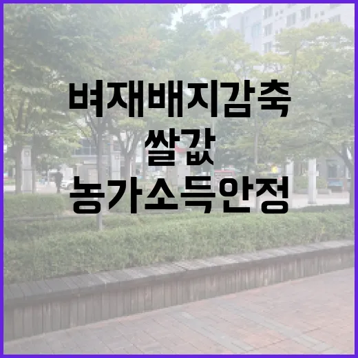 벼 재배지 감축 쌀…