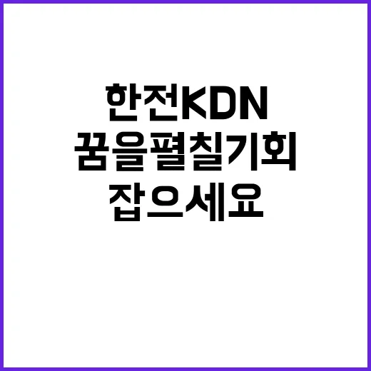 2025년 한전KDN 개방형직위 채용공고