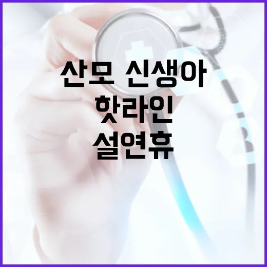 비상응급의료 설 연휴 중 산모·신생아 위한 핫라인!