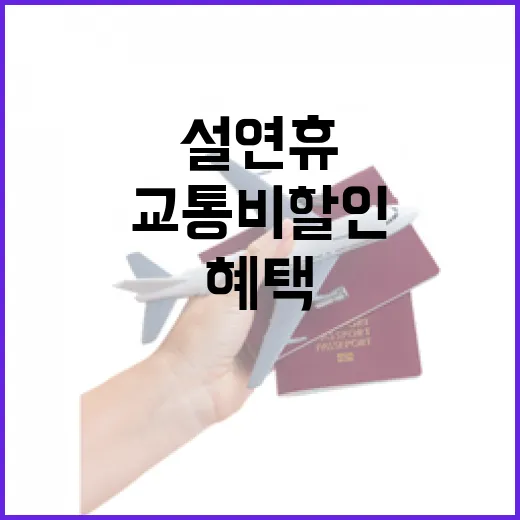 설 연휴 교통비 할…