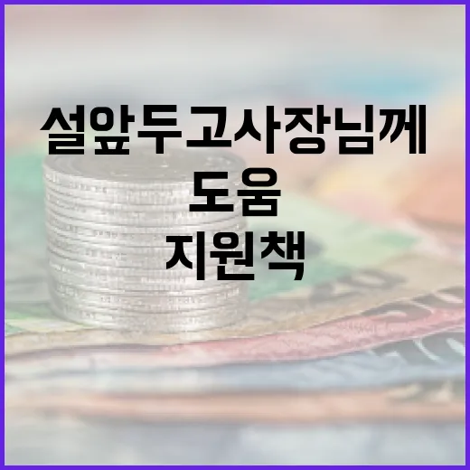 지원책 설 앞두고 사장님께 필요한 도움!