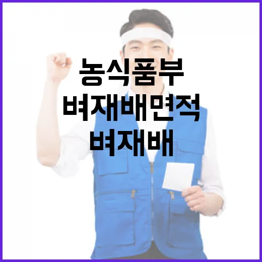 벼 재배 면적 12% 감소 농식품부 공식 부인!