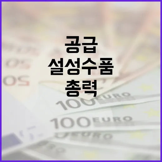 설 성수품 공급 확대 물가 안정 지원에 총력!