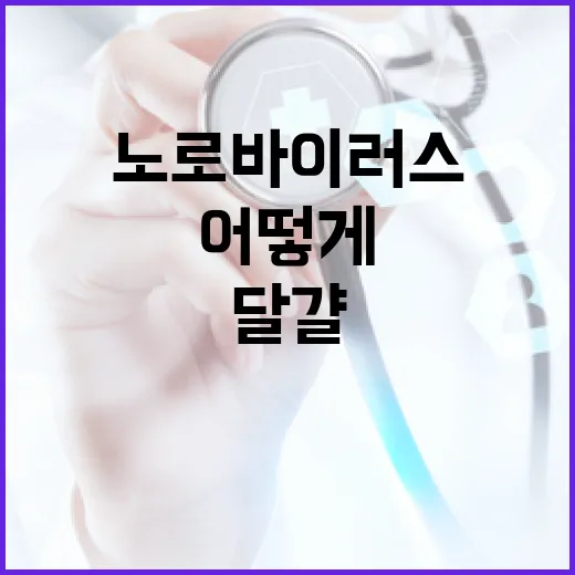 살모넬라 노로바이러스 집중관리…달걀 검사 어떻게?