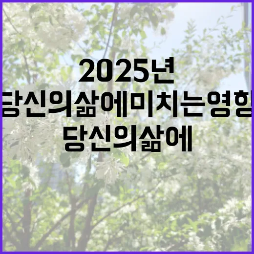 2025년 변화 당신의 삶에 미치는 영향!