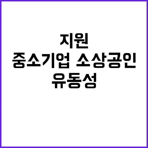 유동성 지원, 중소…